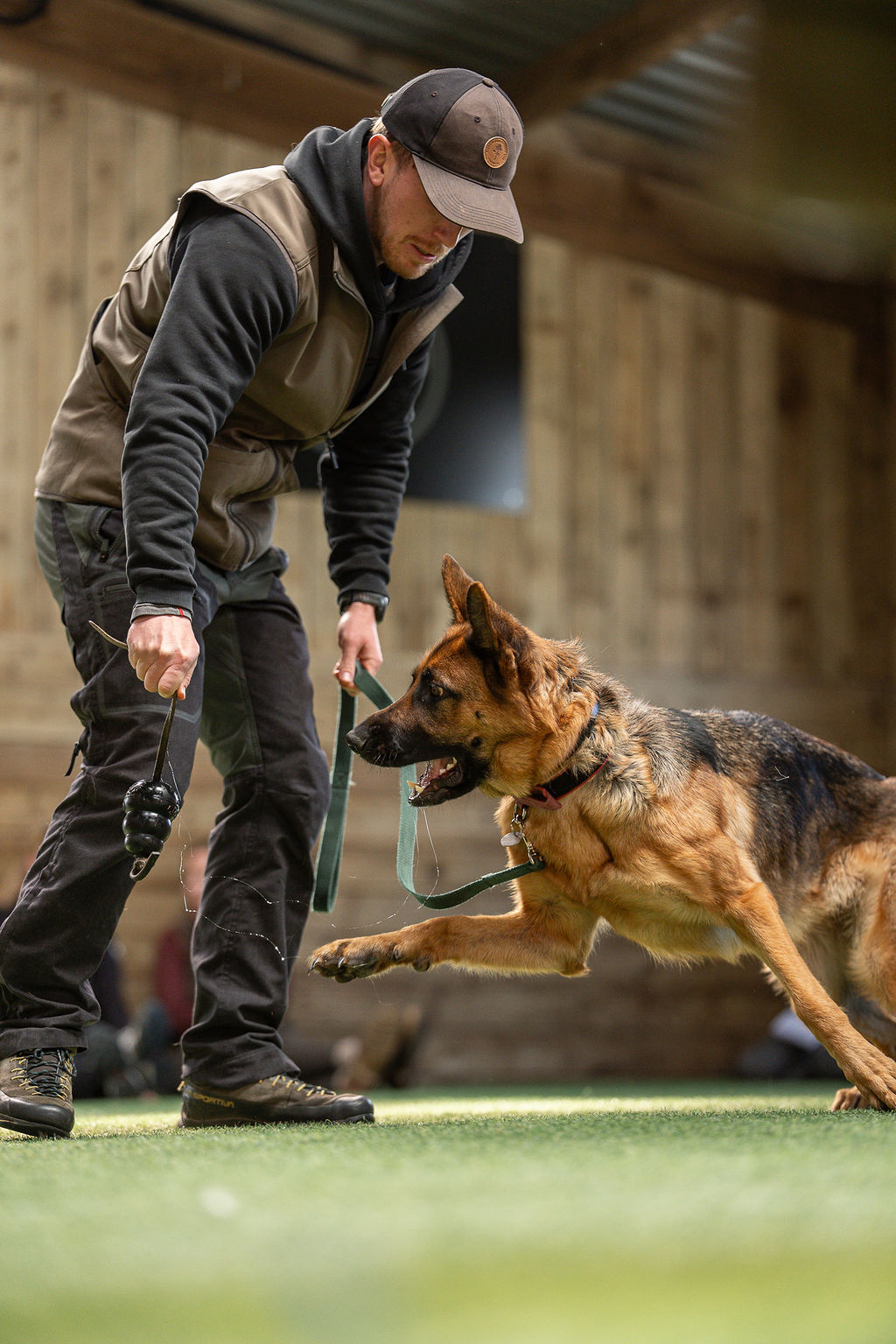 Kit Rowland working with a German Shepherd during a training session