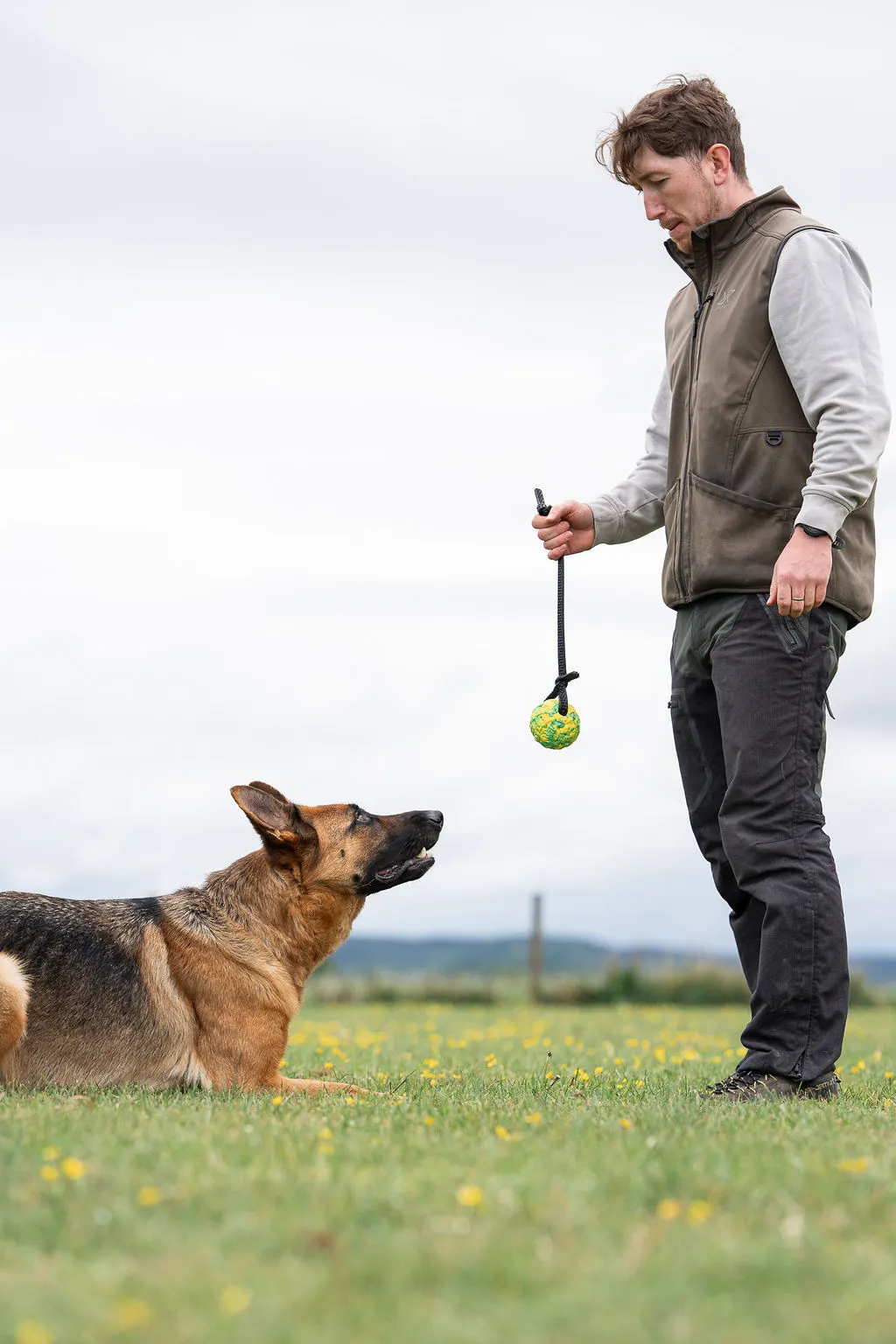Kit Rowland training a German Shepherd in a Cambridgeshire field